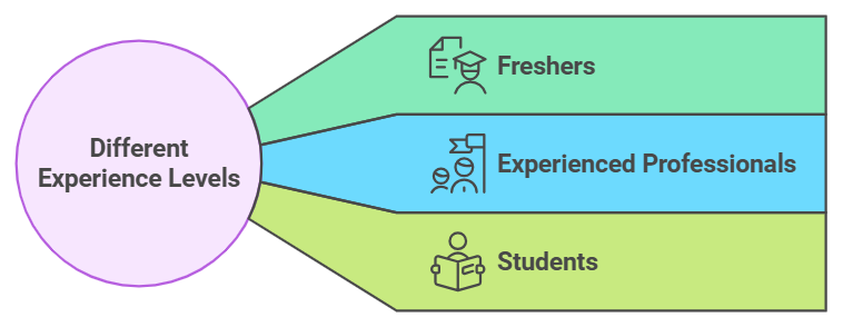  An infographic illustrating the different experience levels, Freshers, Experienced Professionals, and Students.