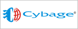 Cybage Software Private Limited