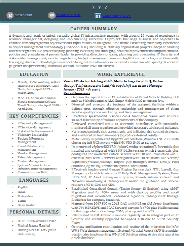 resume-format-2