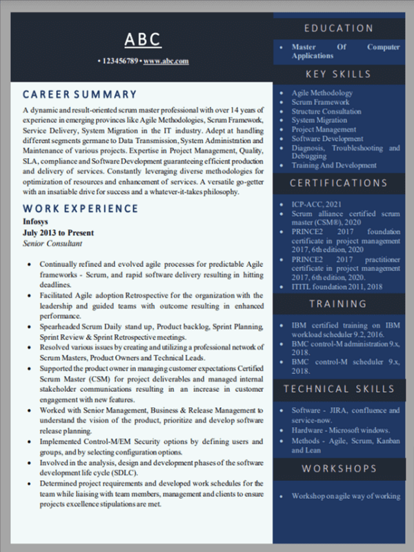 resume-format-4